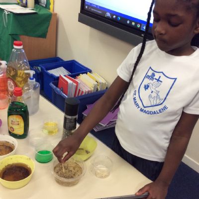 Science: Hygiene Experiments