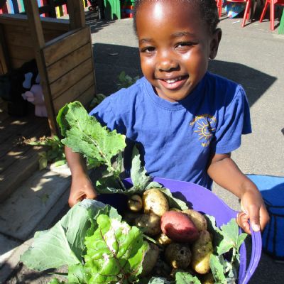 Harvesting our summer vegetables